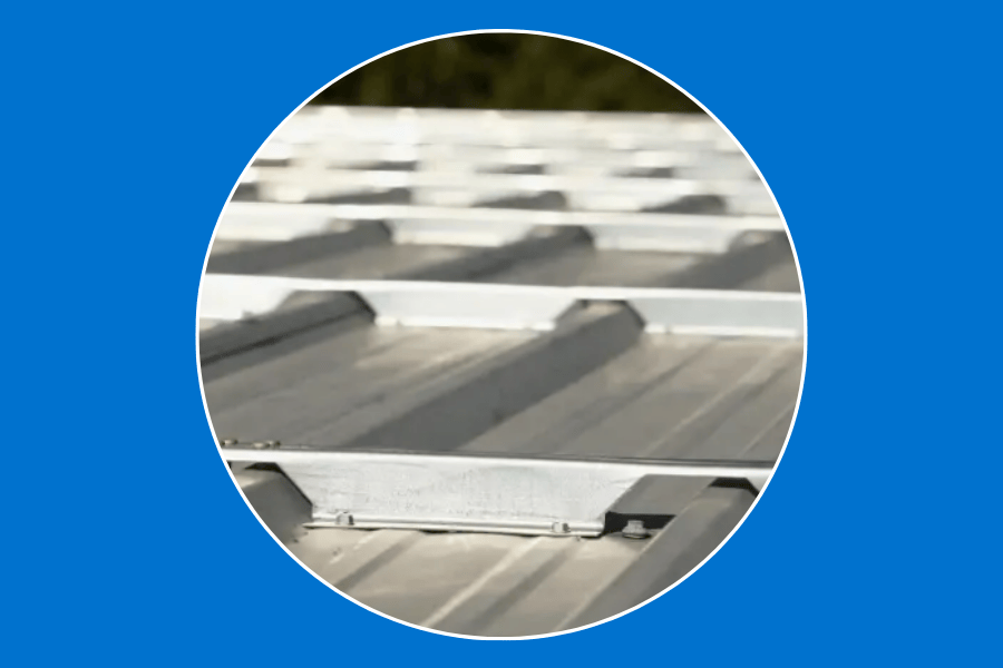 Preview Card_Where We Lead_Roofhugger