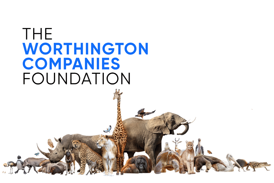Worthington Companies Foundation Logo and wild animals